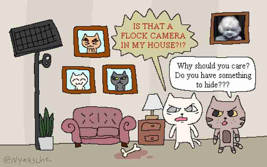 Comic: a cat shouts "IS THAT A FLOCK CAMERA IN MY HOUSE?!?" while another cat, sitting beside an enormous Flock surveillance camera filling the living room, replies "Why should you care? Do you have something to hide???"